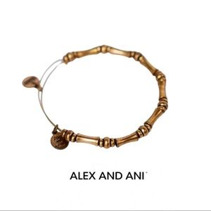 Alex and Ani Expandable Bangle Bracelet